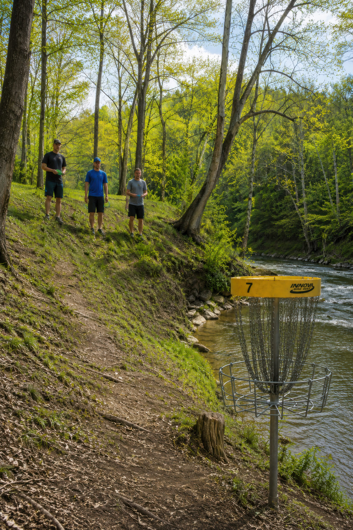 Fast green disc golf basket area illustration