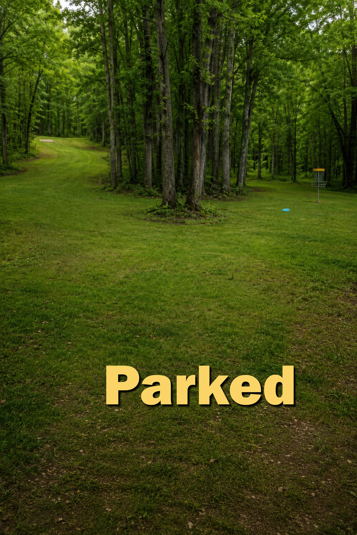 Parked disc golf illustration
