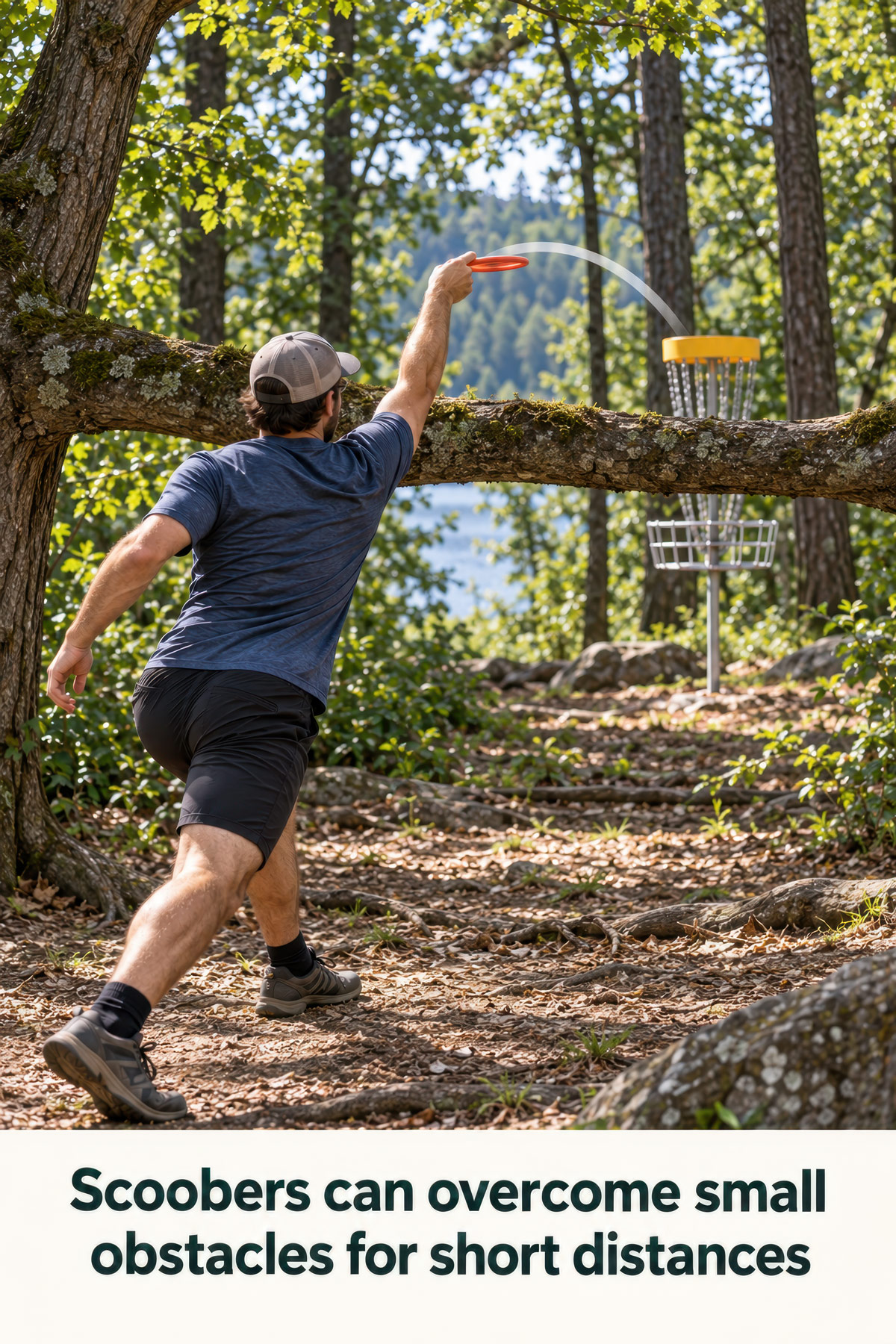 Scoober disc golf illustration